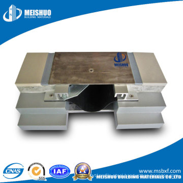 Professional Metal Building Material Expansion Joint for Floor Msdgcp